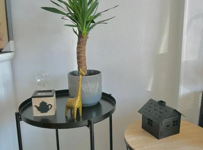 5bis شقة كابورغ